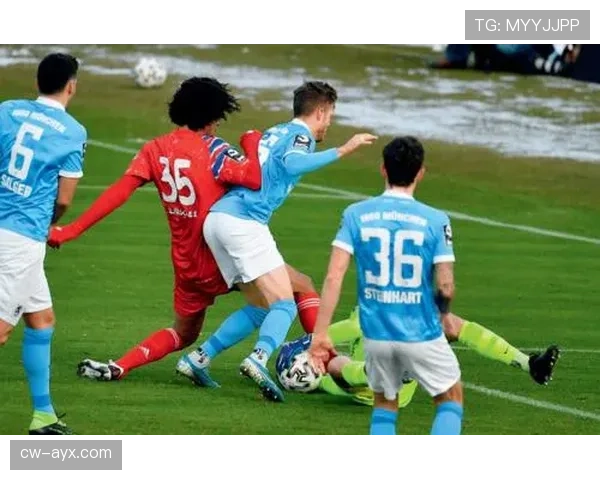 青年才俊闪耀绿茵场，新一届足球新星名单公布