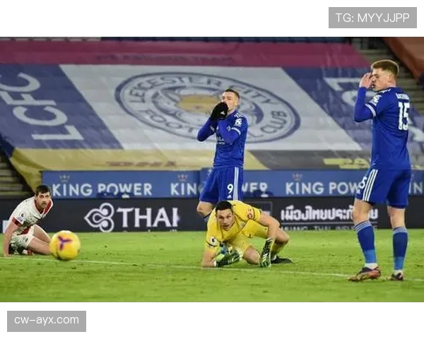 汉普郡圣徒剑指英超前列，新赛季表现备受期待