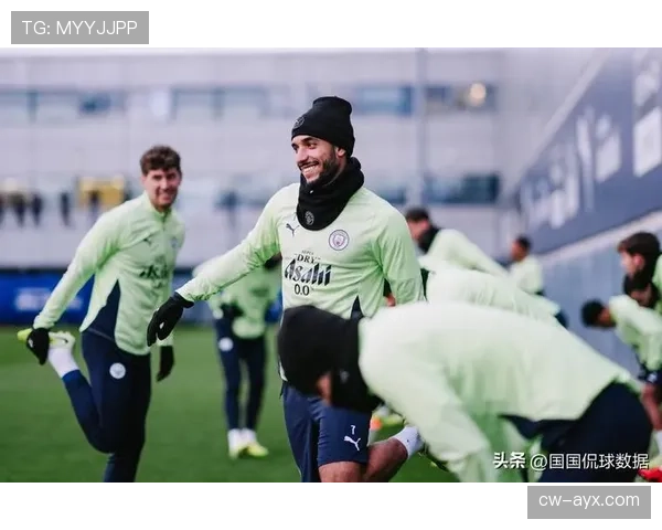 富勒姆新赛季关键球员状态回暖，表现亮眼引关注