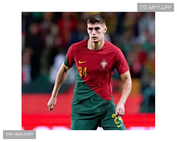 本菲卡阵容焕然一新，新星闪耀助力球队强势回暖