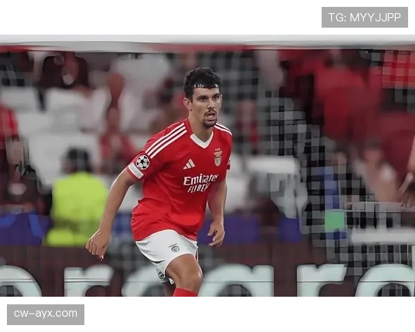 本菲卡明星球员状态回暖，强势助力球队提升新赛季竞争力