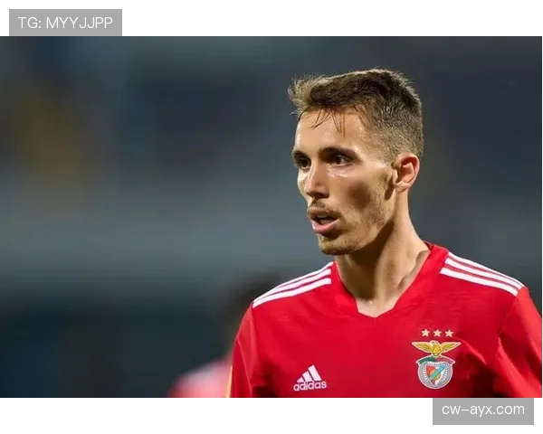 格里马尔多表现稳健，助力本菲卡迈向新辉煌