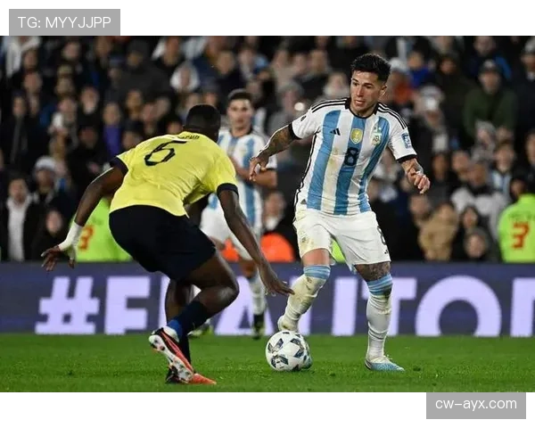 恩佐vs德保罗 国家队搭档战术分工与互补性分析